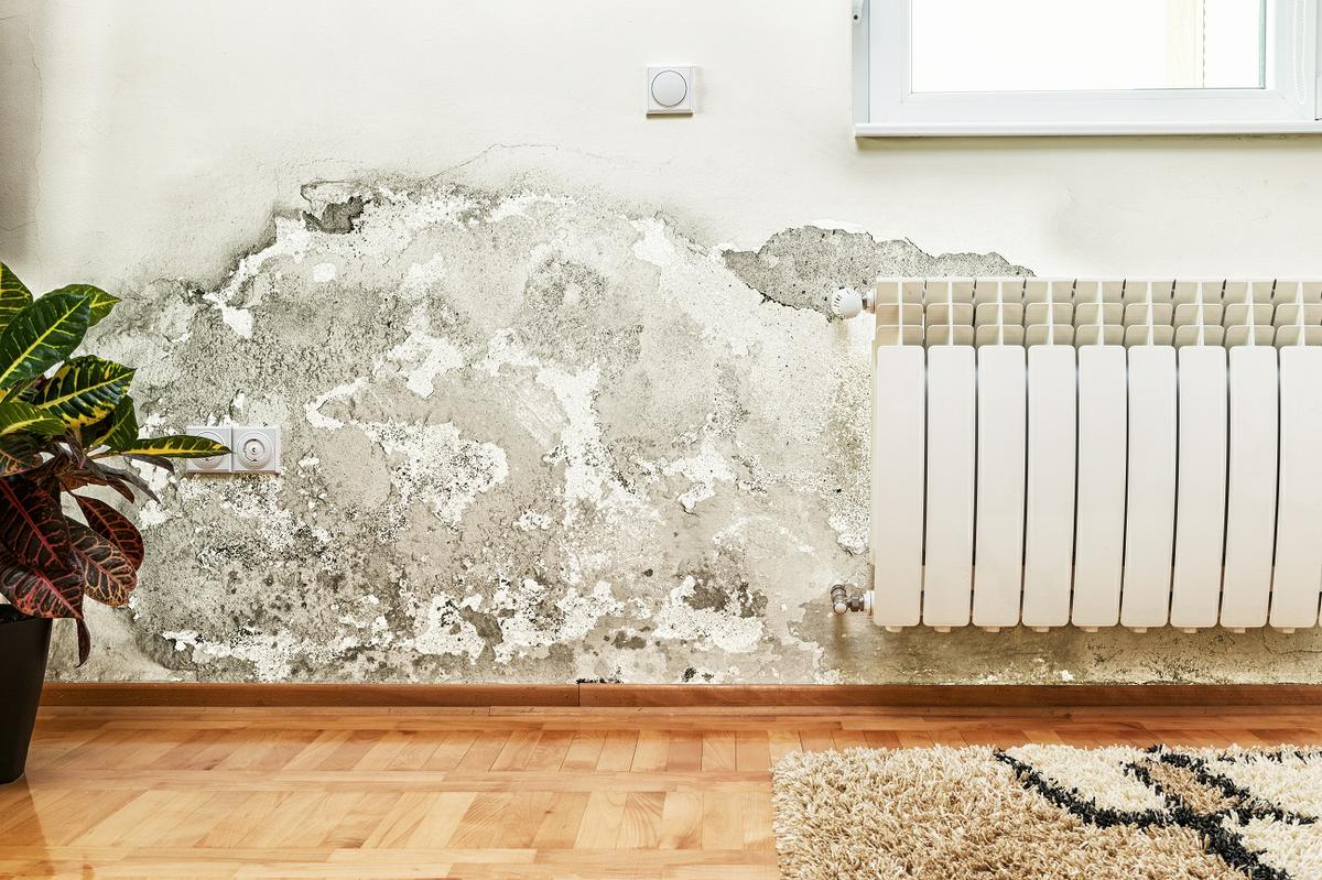 como quitar humedad de una habitacion